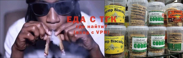 гашик Дмитров