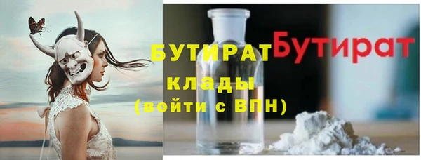 гашик Дмитров
