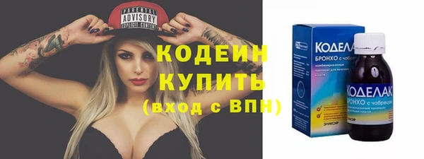 гашик Дмитров