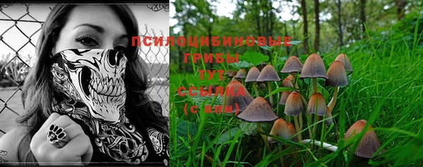 метадон Ельня