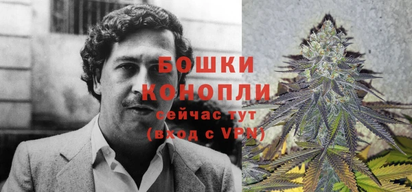 PSILOCYBIN Дмитриев