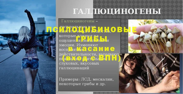 мдпв Елизово