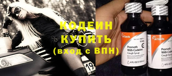 мдпв Елизово