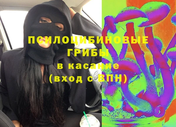 гашик Дмитров