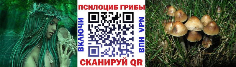 Галлюциногенные грибы мухоморы  Купить закладки  Красный Сулин 